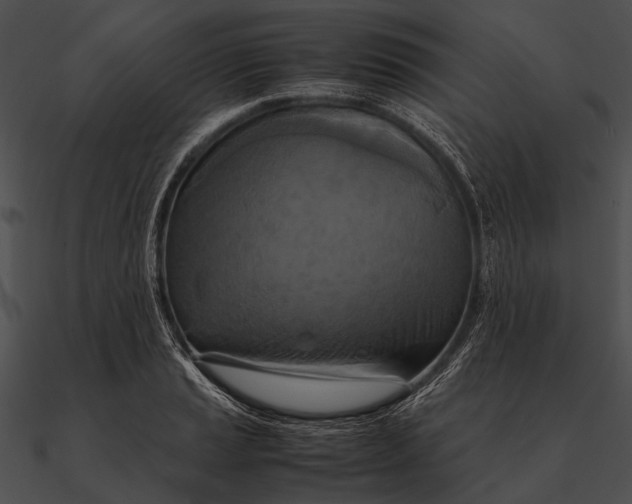 X0000090491037200708031142