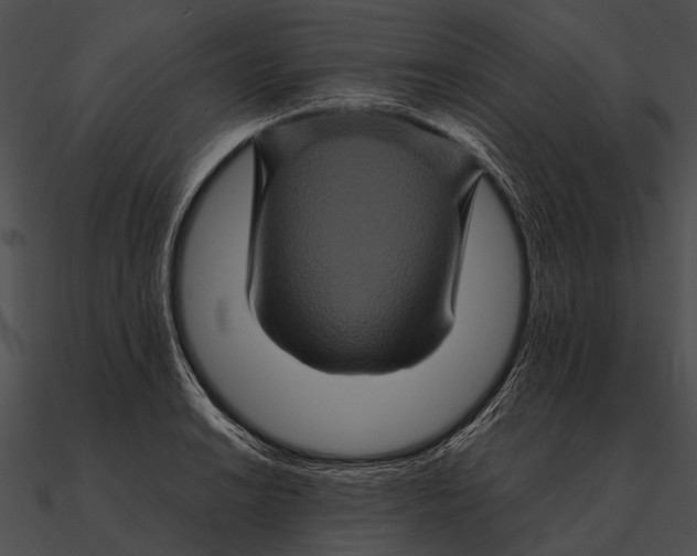 X0000090491038200708031142