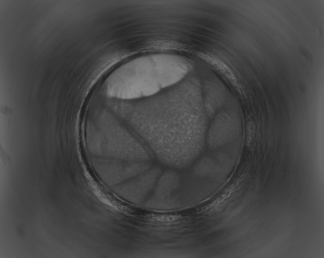 X0000090491039200708031142