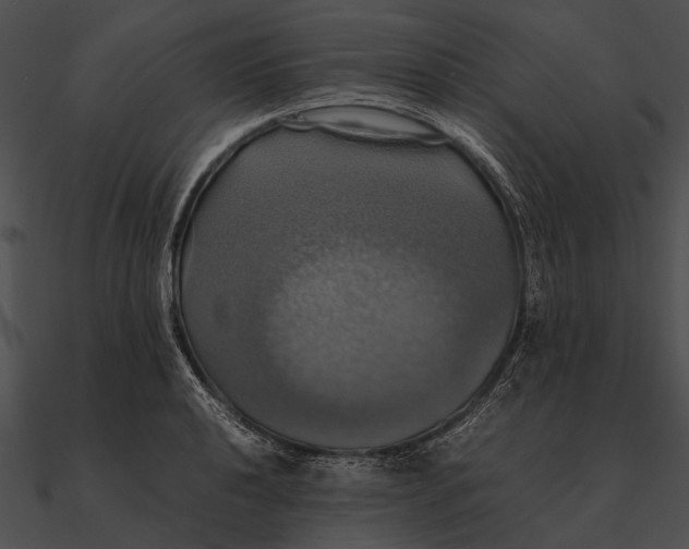 X0000090491040200708031142