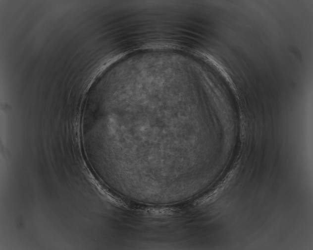 X0000090491041200708031142