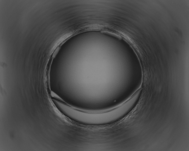 X0000090491042200708031142