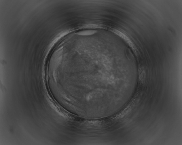 X0000090491043200708031142