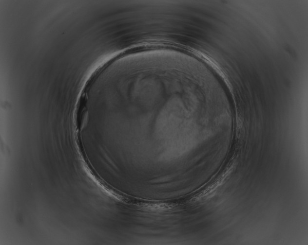 X0000090491045200708031142