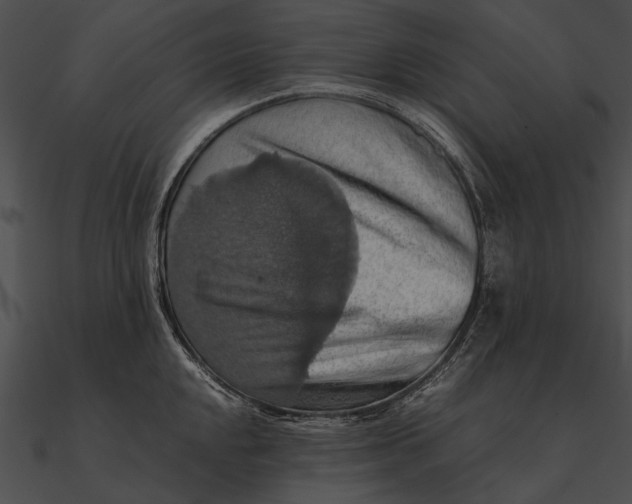 X0000090491048200708031142