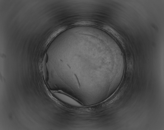 X0000090491049200708031142