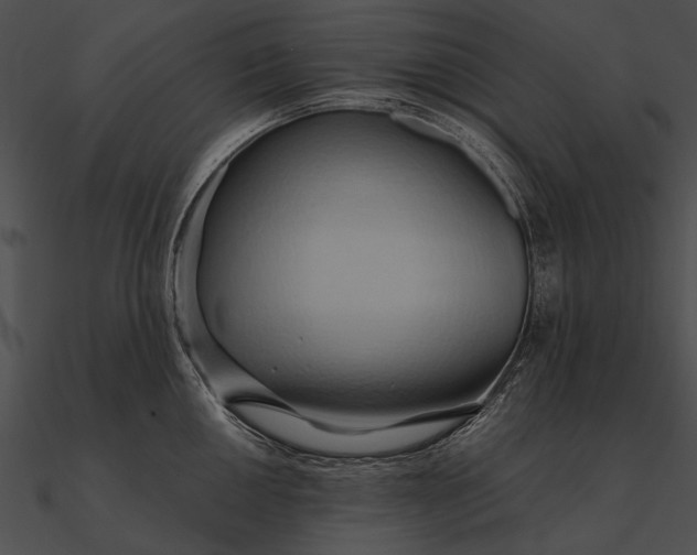 X0000090491050200708031142