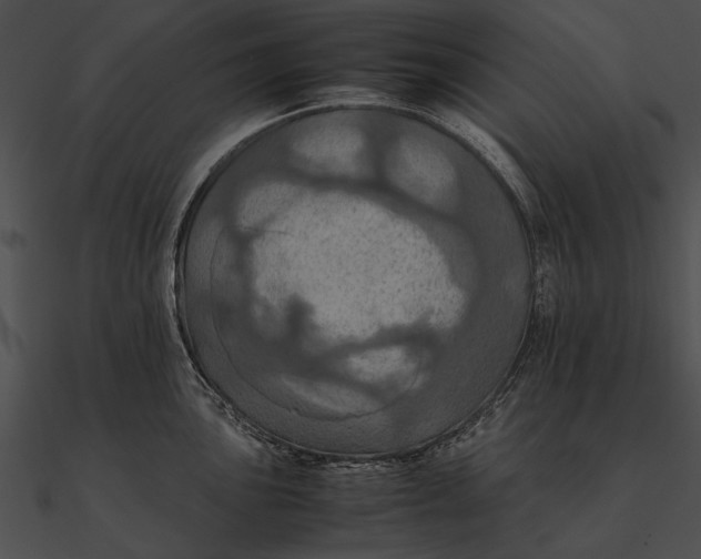 X0000090491051200708031142