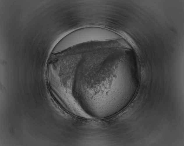 X0000090491052200708031142