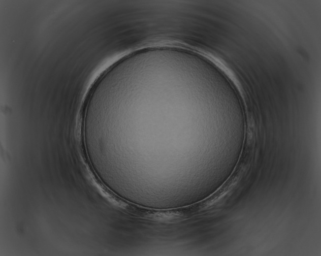 X0000090491053200708031142