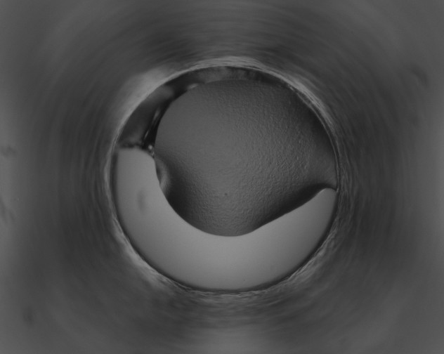 X0000090491054200708031142