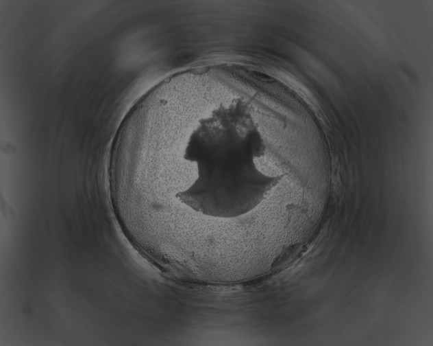 X0000090491055200708031142