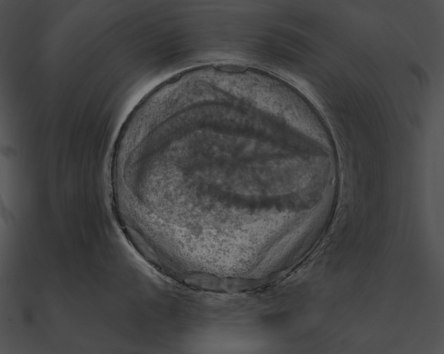 X0000090491056200708031142