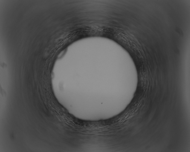 X0000090491057200708031142