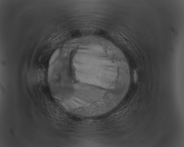 X0000090491059200708031142