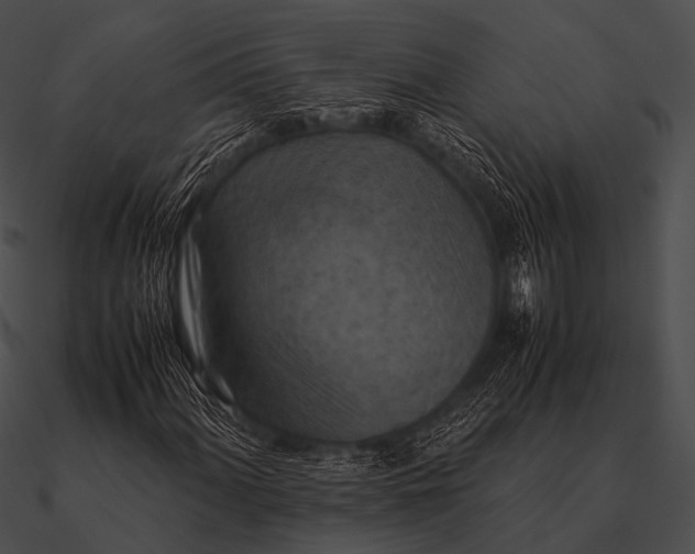 X0000090491060200708031141