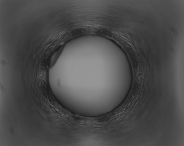 X0000090491061200708031141