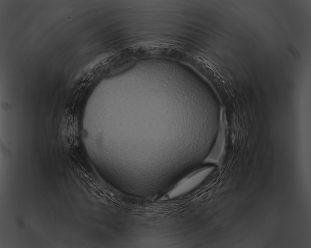 X0000090491062200708031141