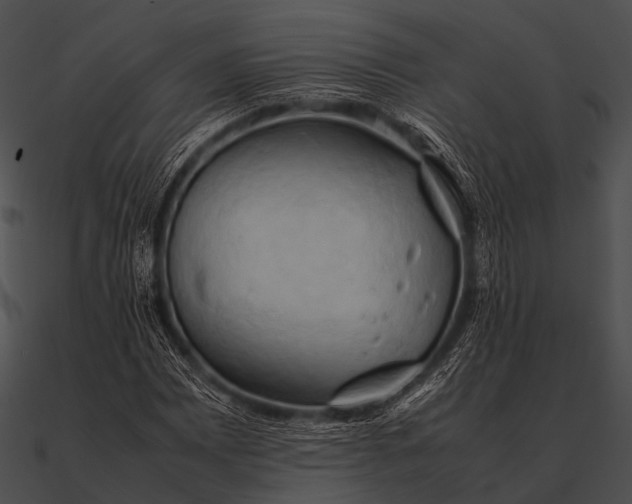 X0000090491065200708031141