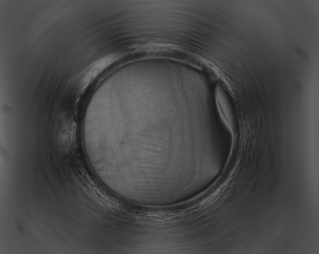 X0000090491066200708031141