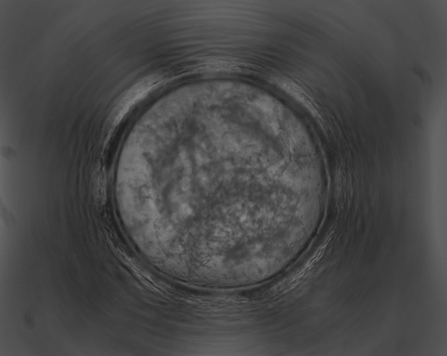 X0000090491067200708031141