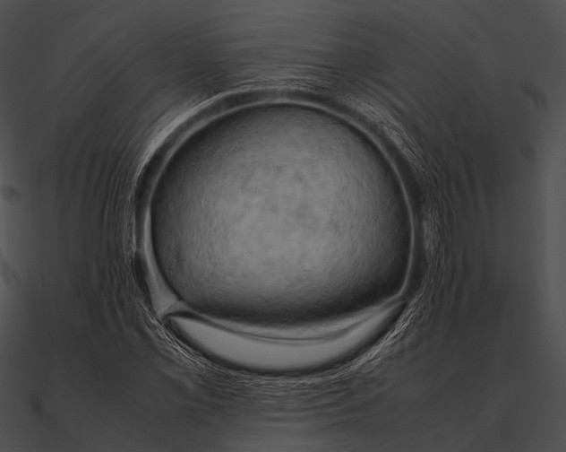 X0000090491069200708031141