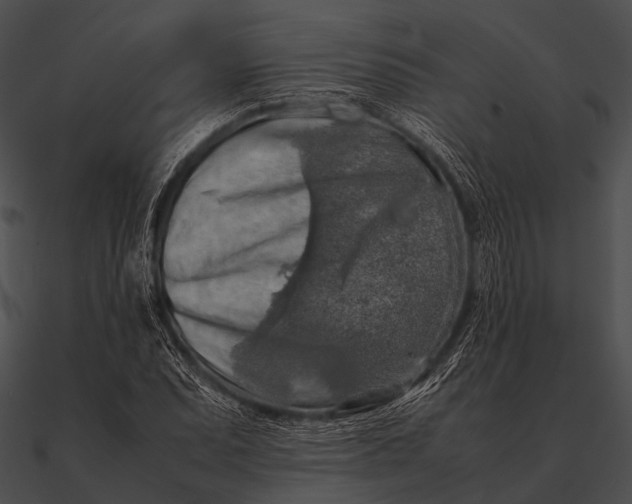 X0000090491071200708031141