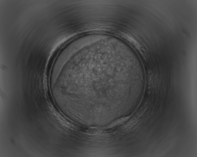 X0000090491072200708031141