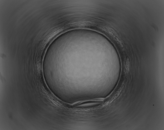 X0000090491073200708031141