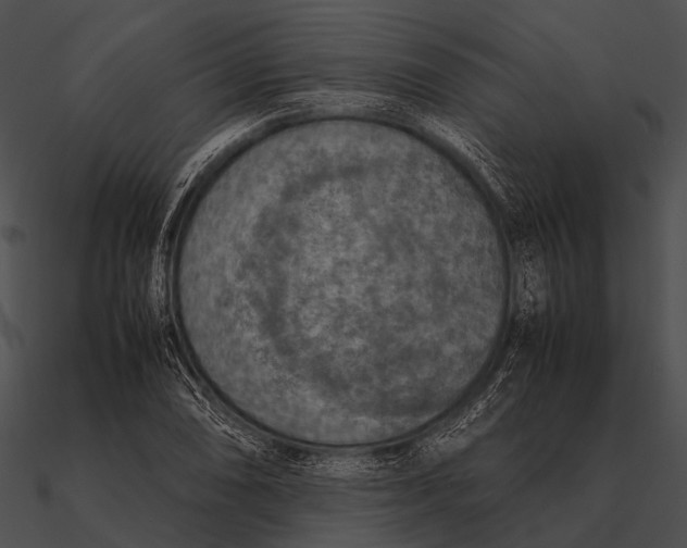 X0000090491074200708031141