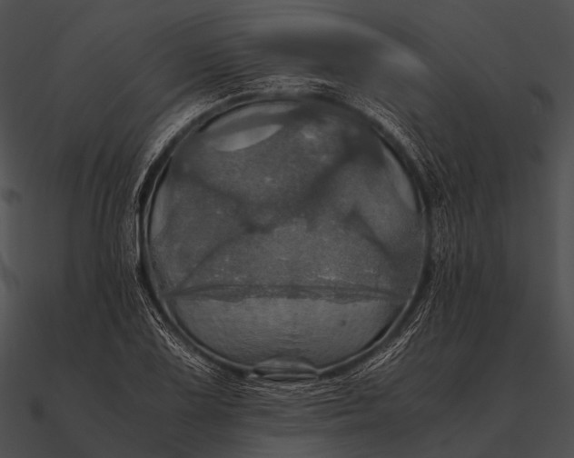 X0000090491075200708031141