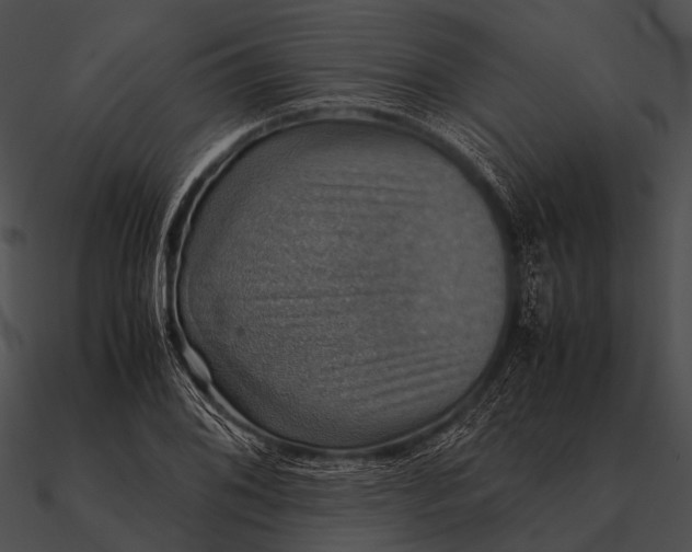 X0000090491076200708031141