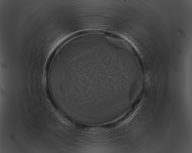 X0000090491077200708031141