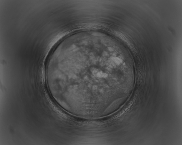 X0000090491079200708031141