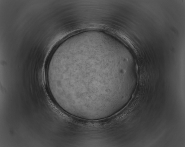 X0000090491080200708031141