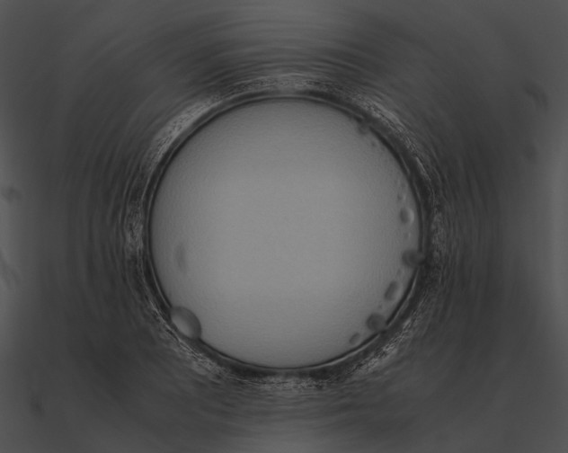 X0000090491081200708031141