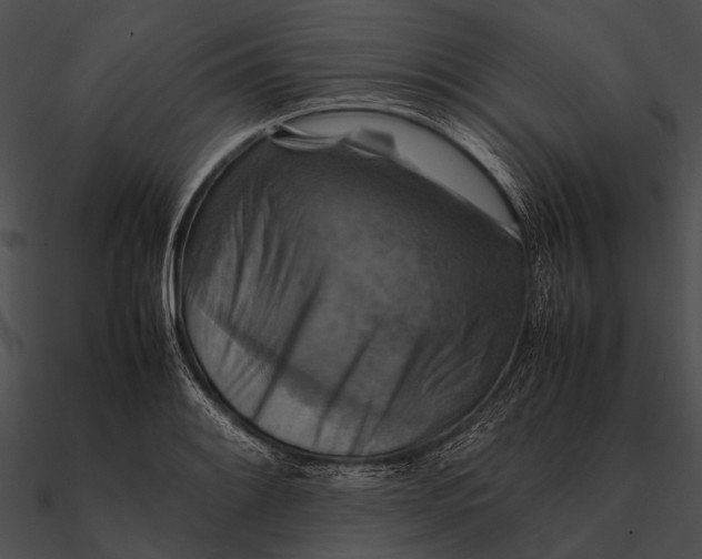 X0000090491084200708031141