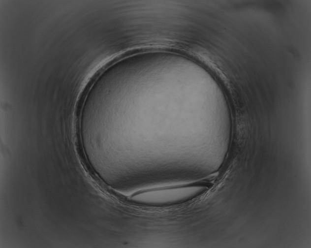 X0000090491085200708031141