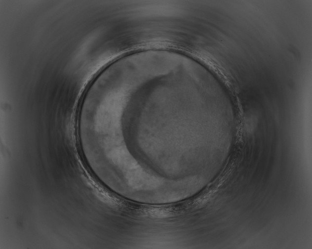 X0000090491086200708031141