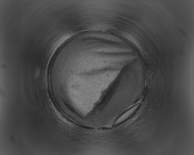 X0000090491087200708031141