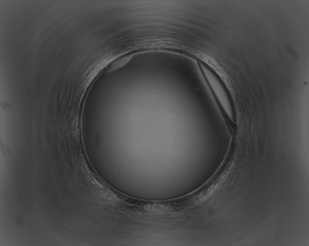 X0000090491089200708031141