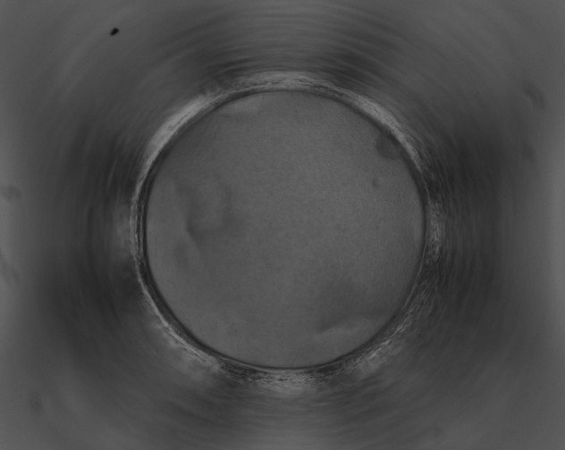 X0000090491090200708031141