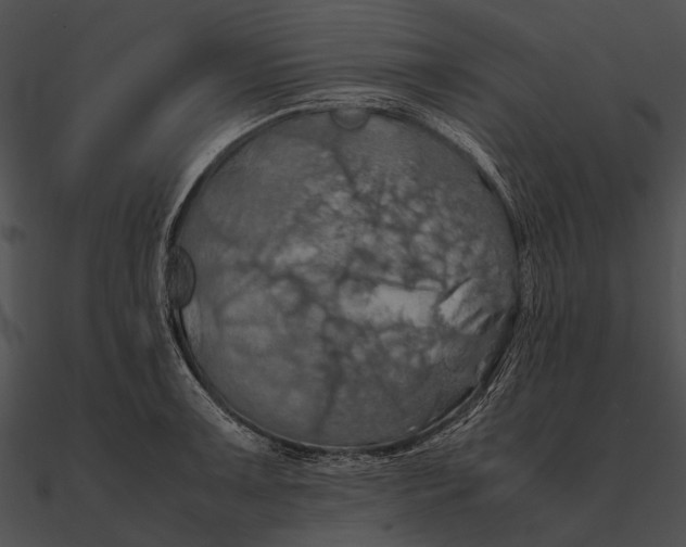 X0000090491091200708031141