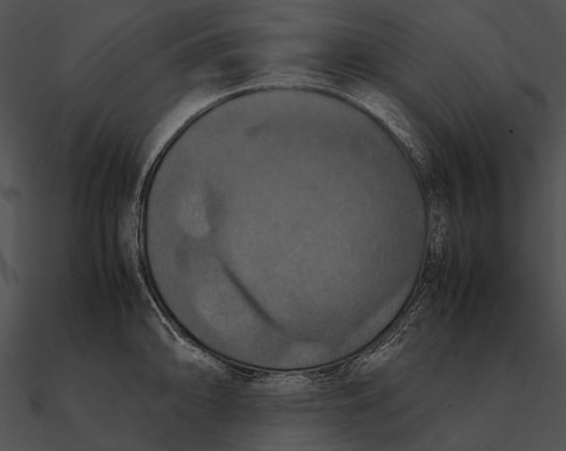 X0000090491094200708031141