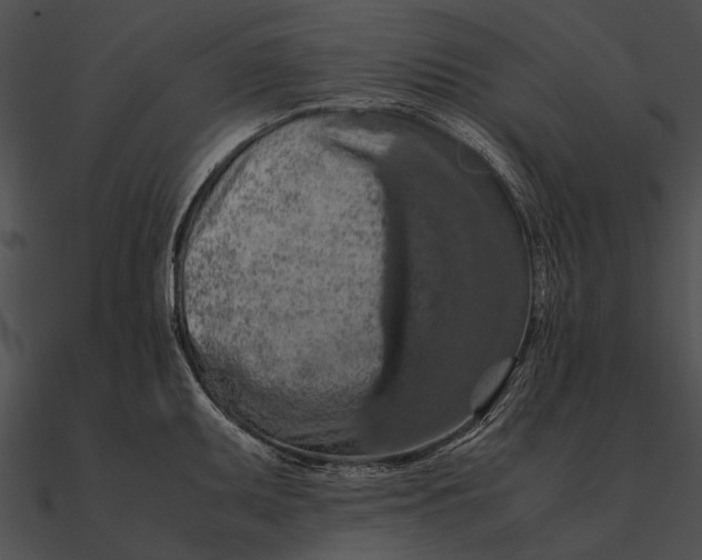 X0000090491095200708031141