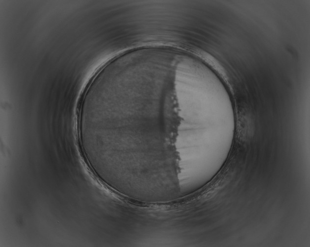 X0000090491096200708031141