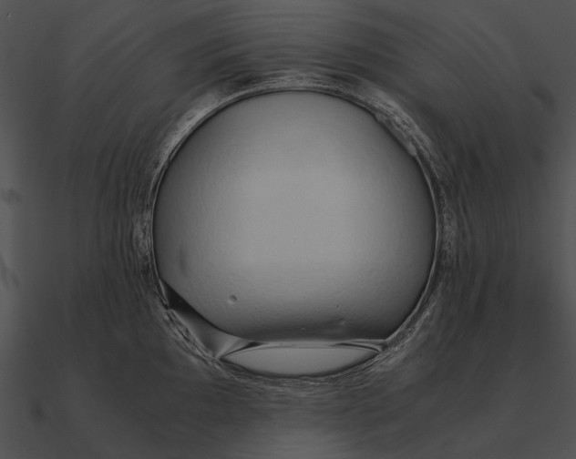 X0000090491097200708031141