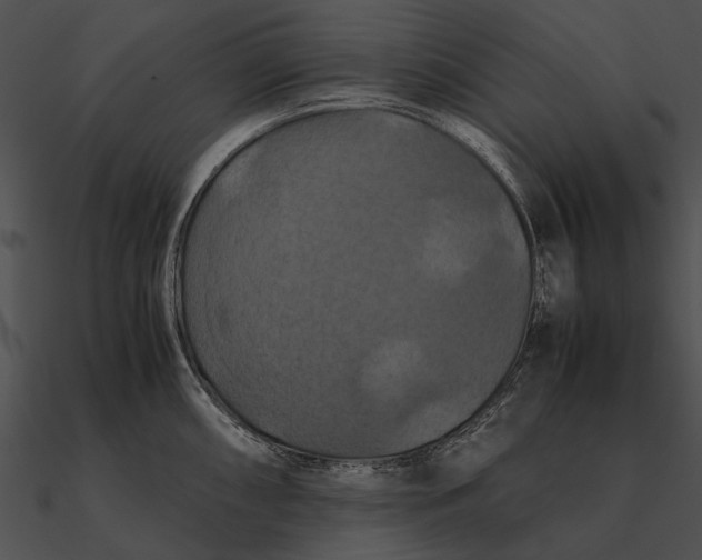 X0000090491098200708031141