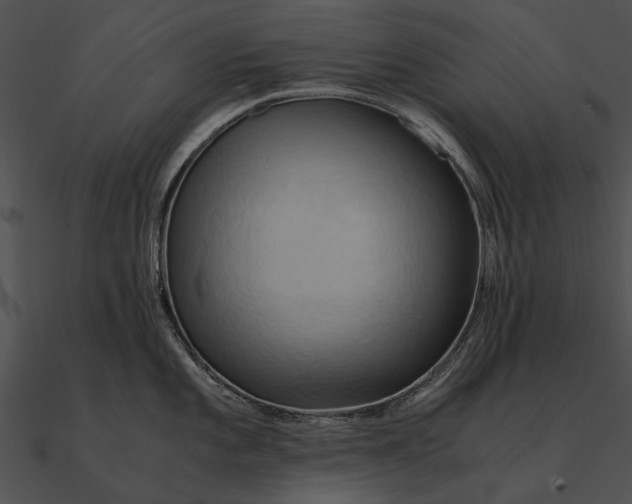 X0000090491101200708031141