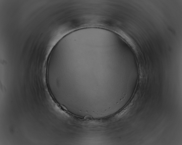 X0000090491102200708031141